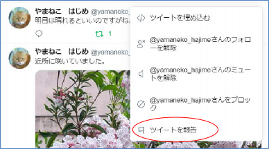 違反報告画面（PC）