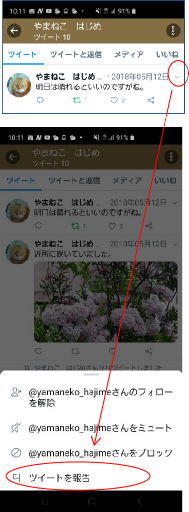 違反報告画面（スマホアプリ）